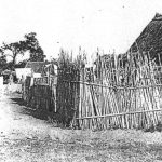 Negocios en el origen de Palmones  (2ª parte)