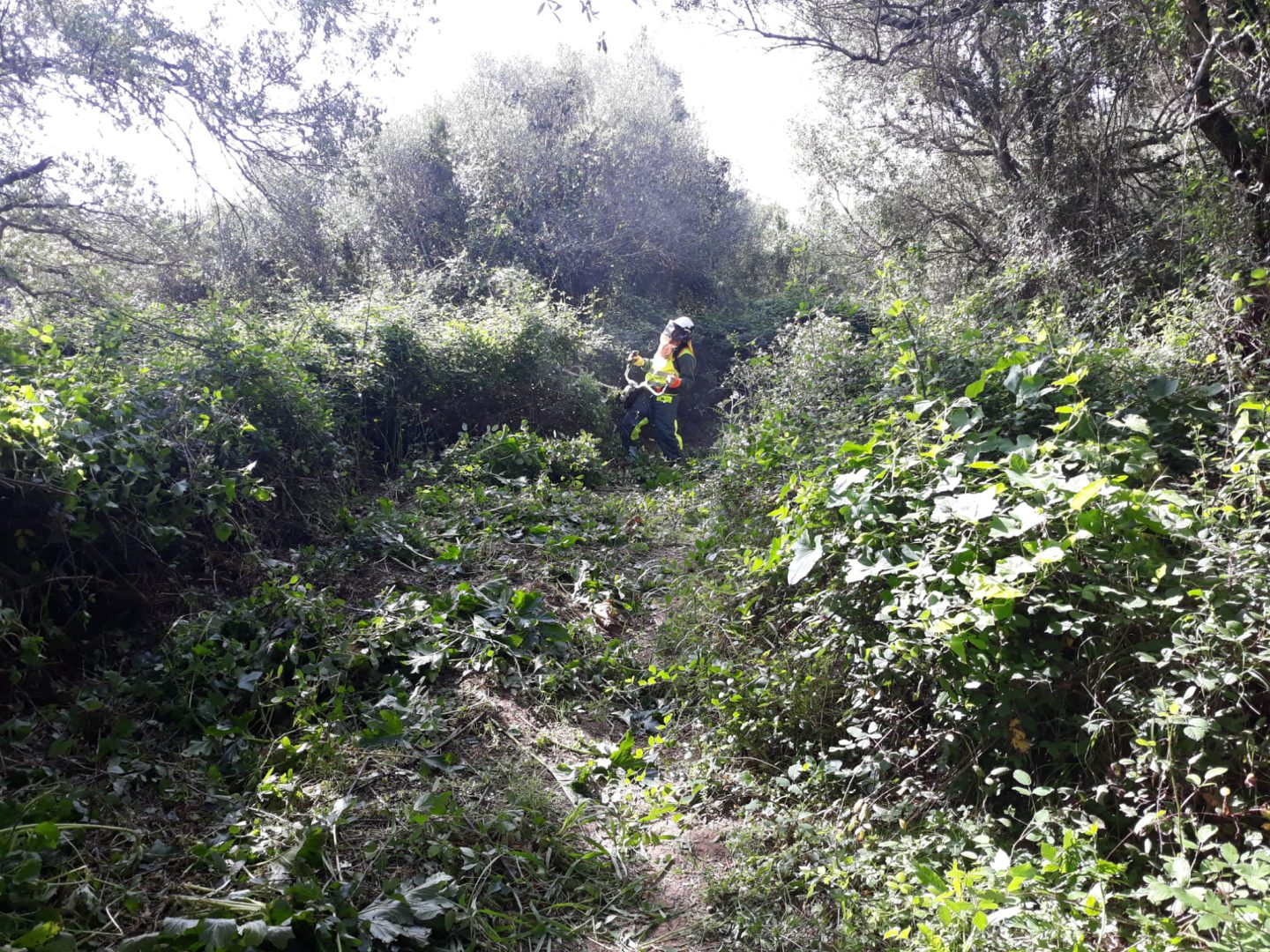 Obras Corredor Verde
