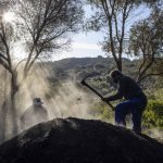 Vecinos de Los Barrios reviven el extinto oficio del carboneo Andrés Muñoz Muñoz