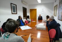 Sanidad contará con la Protectora “Adopta un gatito” para controlar la población de felinos