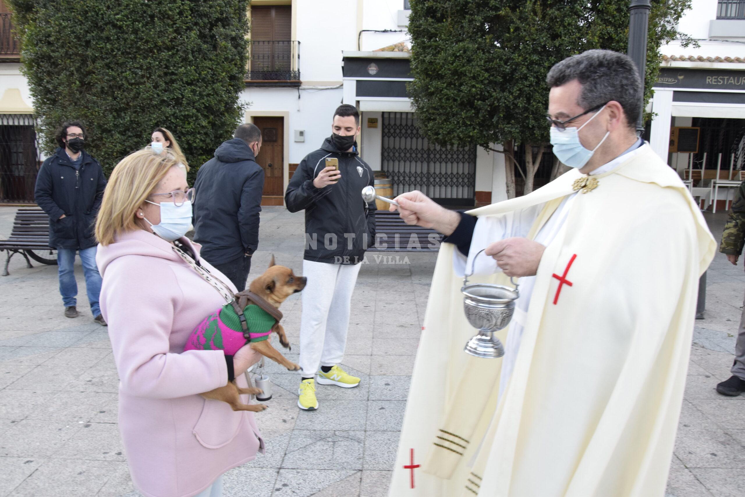 San Antón. Bendición de Animales 2022 (44)