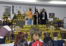 FOTOS | Celebrado el taller sobre aderezo de aceitunas