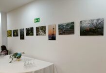 Exposición de Fotografía de Naturaleza en la Casa de la Cultura