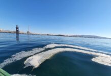 Verdemar denuncia vertidos de espuma procedentes de la Central Térmica de Los Barrios