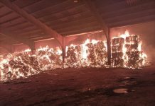 FOTOS – VÍDEO | Verdemar preocupado por el incendio en la planta de RSU del Campo de Gibraltar