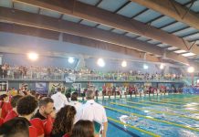FOTOS | Intensa jornada en la piscina con el Campeonato de España de Natación por Selecciones Autonómicas