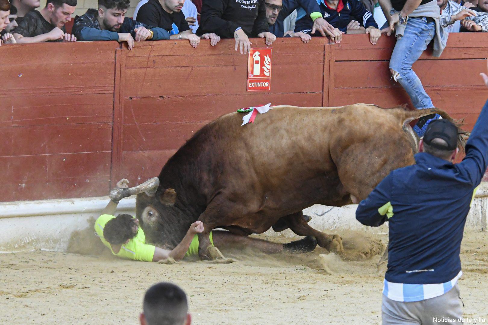 2024. Toro Embolao. Primer y Segundo Toro (JA) (79)