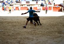 El Ayuntamiento emite un bando con las normas para el buen desarrollo de la fiesta del Toro Embolao 2025