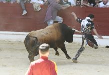 La festividad del Toro Embolao contará con la suelta de cuatro astados