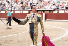 David Galván, trofeo “Manolete” a la Mejor Faena de San Isidro para la Casa de Córdoba en Madrid