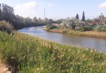 El nombre árabe de Guadarranque