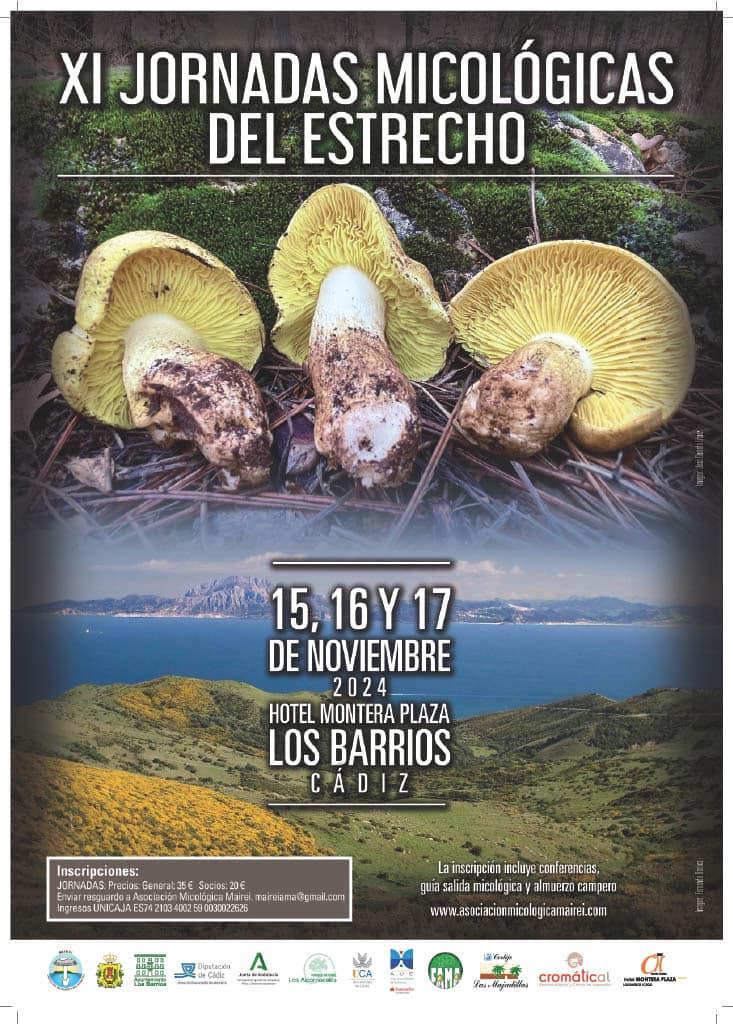 Cartel 2024