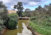 El nombre de Guadacorte