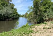 El PP celebra la licitación por la Junta de la Renaturalización del Río Palmones en las proximidades del núcleo urbano