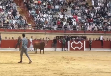 VÍDEO | “Menganito”, primer toro embolao de la mañana del Domingo de Resurrección