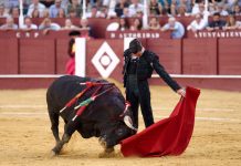 Toreo caro de David Galván en La Malagueta