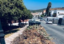 El PSOE exige la retirada de podas y rastrojos en la vía pública