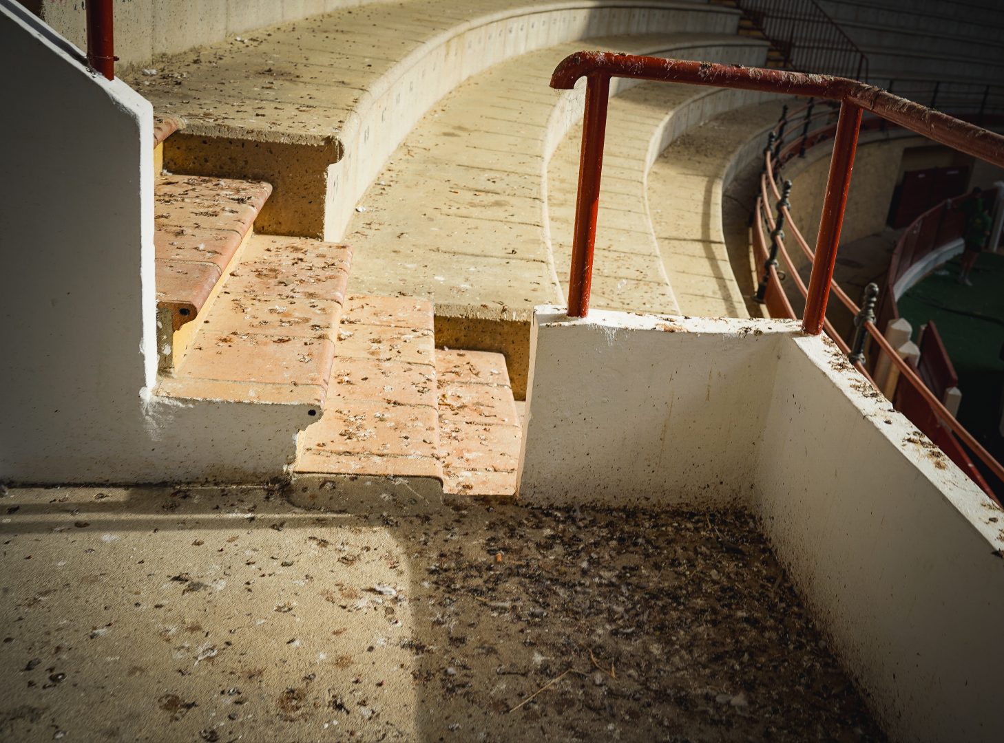 2025. Plaza Toros. Excrementos