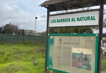 El PSOE denuncia que los huertos de ocio de Los Barrios carecen de agua de riego desde hace más de un mes