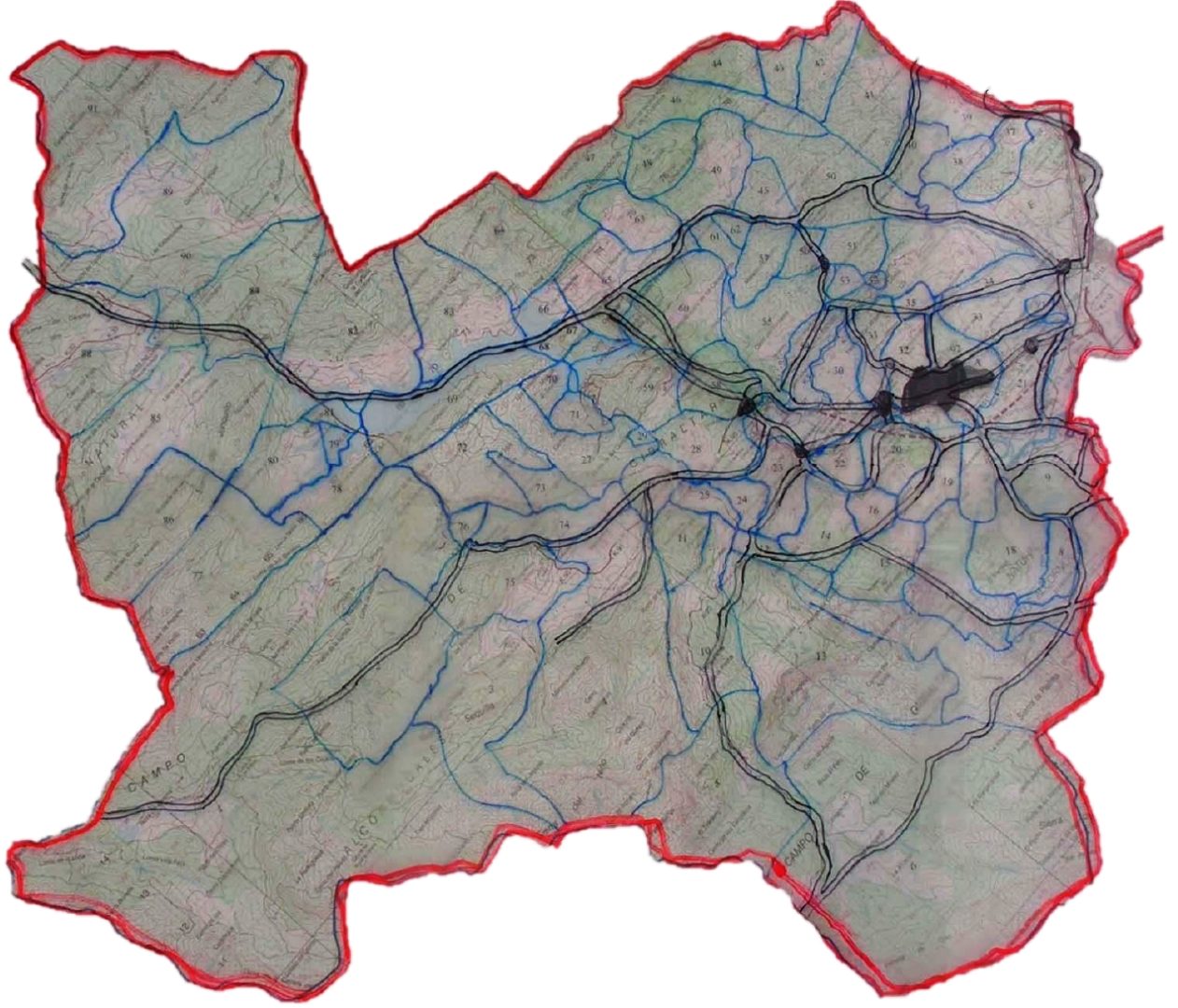 Vías pecuarias. Manuel Correro