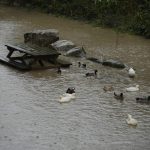 FOTOS | Recuento de daños en Los Barrios tras la sucesión de temporales de lluvia