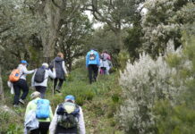 AFA Barreño celebra este domingo 25 de octubre una ruta senderista benéfica para recaudar fondos
