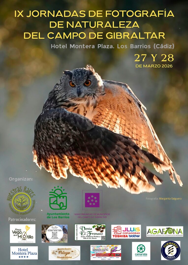 Cartel 2026
