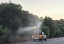 Salud ejecuta nuevos tratamientos larvicidas en Guadacorte y Palmones dentro del plan de prevención del Virus del Nilo