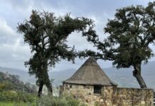 Turismo de Los Barrios programa una ruta familiar por El Palancar para aprender a conocer y respetar el entorno natural