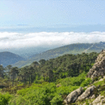 Resumen climatológico del mes de noviembre 2016 en Los Barrios