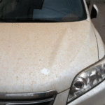 La lluvia de barro llega a Los Barrios