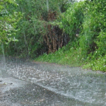 El aroma de la tierra mojada