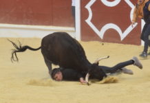 Gran ambiente en el segundo encierro del Toro Embolao a pesar de un astado demasiado remolón