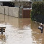 Podemos Los Barrios pedirá en el Pleno del lunes una parcela para la perrera Los Barrios