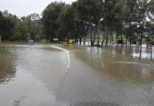 El Ayuntamiento de Los Barrios cierra las instalaciones municipales por el aviso de viento y lluvia