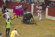 Todo preparado para vivir la fiesta del Toro Embolao