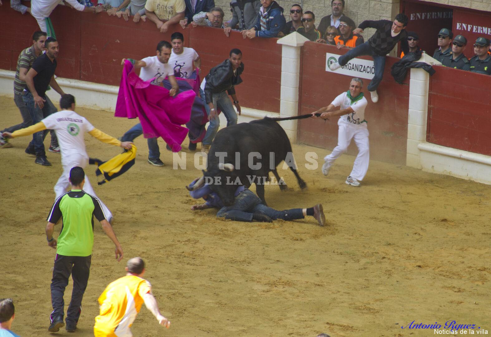 Toro Embolao 2012 (6)