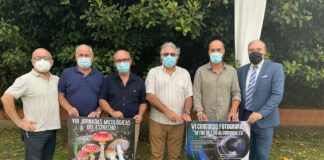 Ayuntamiento Los Barrios