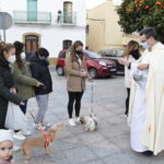 FOTOS | Las mascotas reciben la bendición por San Antón