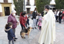 Las mascotas recibirán el martes su bendición por San Antón