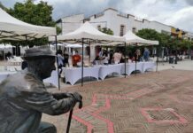 El próximo viernes se celebra la II Feria del Libro