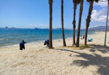 Gómez supervisa el inicio de los trabajos de limpieza de la playa