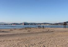 El Ayuntamiento acomete una limpieza de choque de la playa de Palmones