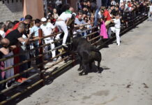 Mañana comienza la Fiesta del Toro Embolao 2023