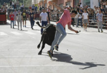 VÍDEO | Alcaudón, realiza un buen recorrido y da juego a los mozos