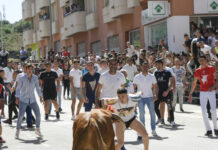 VÍDEO | El novillo de Cebada Gago propicia buenos recortes