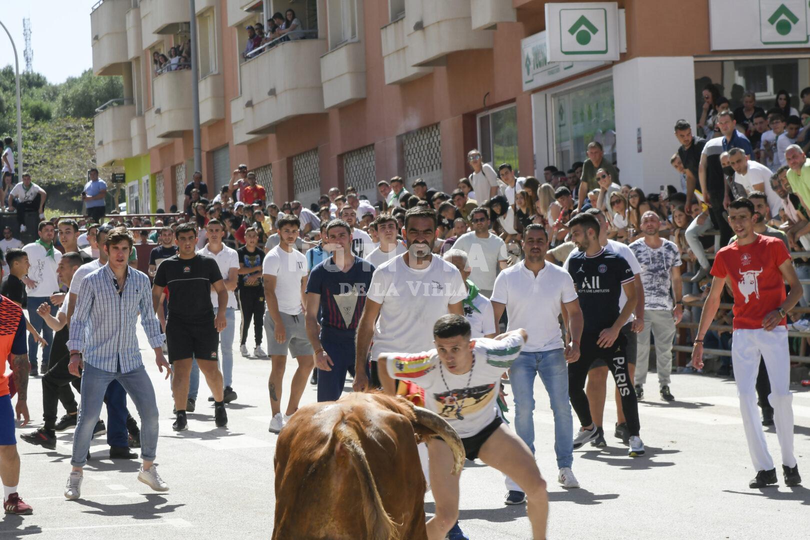 Toro Embolao Domingo (JH) 2022 (35)
