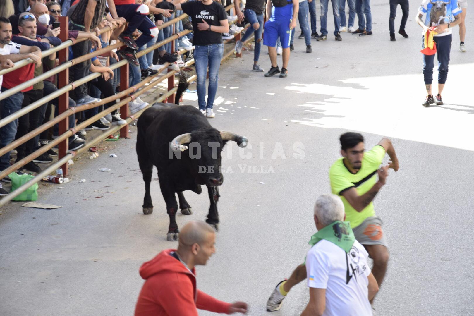Toro Embolao Sábado 2022 (211)