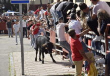 VÍDEO | El utrero hizo las delicias de los aficionados en el Toro Embolao