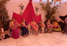 Coronada la reina del Centro de Participación Activa para Personas Mayores